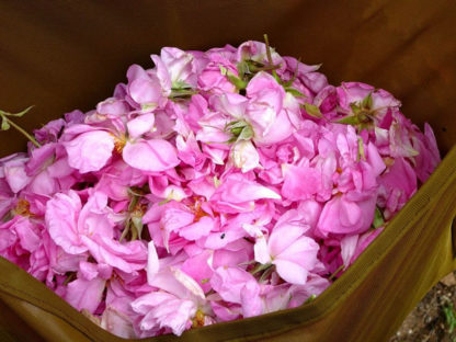Moroccan Rose Water - Image 4