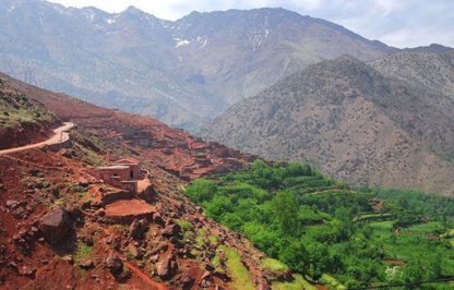 Moroccan Rhassoul Clay - Image 4